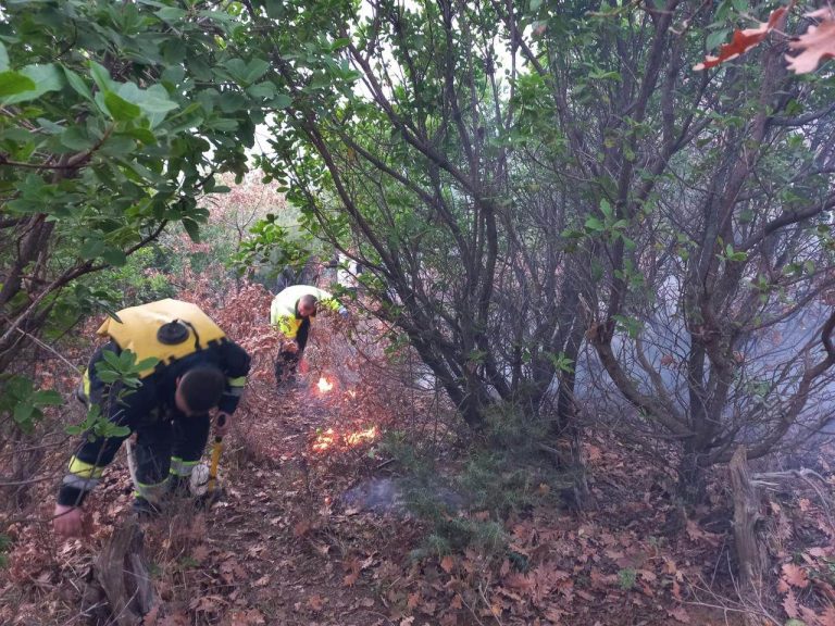 Zjarr në Gramsh! Digjen 10 hektarë tokë me arra