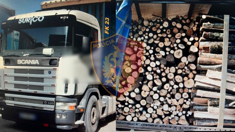 Elbasan/Policia arreston një person për prerje të paligjshme të pyllit