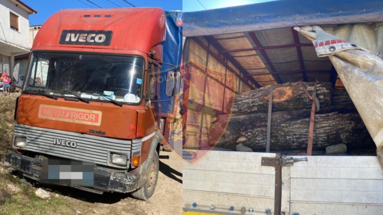 Prrenjas/ Lejonte prerjen e pyjeve pa leje,arrestohet inspektori i pyjores