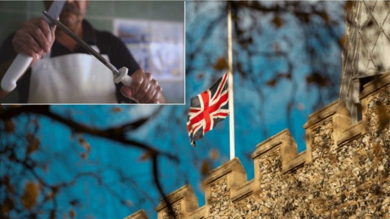 Vendasit nuk i duan këto punë”, sipërmarrësi britanik kërkon veterinerë dhe kasapë në Shqipëri