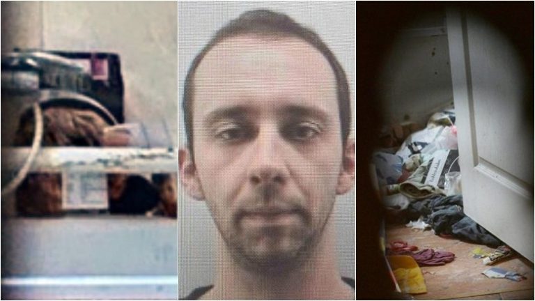 Horror në Beograd, babai mostër mbajti vajzën e tij tetëvjeçare si skllave për pesë vjet