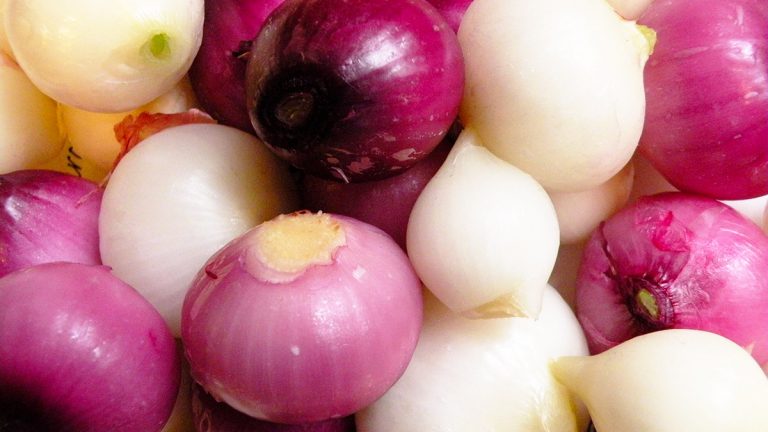 Nëse e konsumoni shpesh qepën e kuqe kemi lajme të mira për ju!