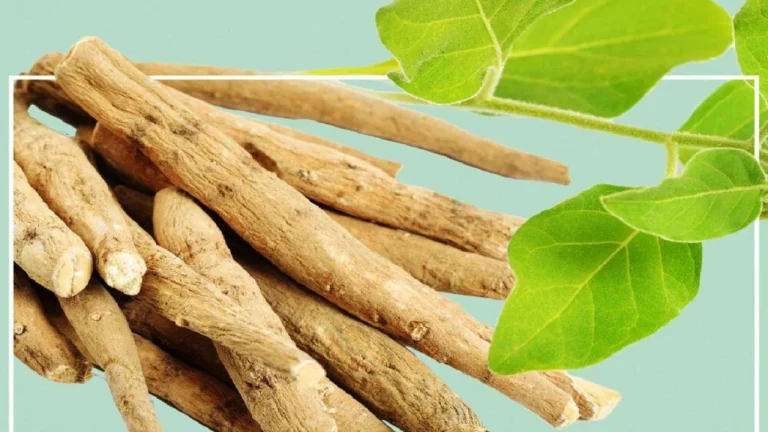 Çfarë është Ashuaganda, cilat janë përfitimet shëndetësore