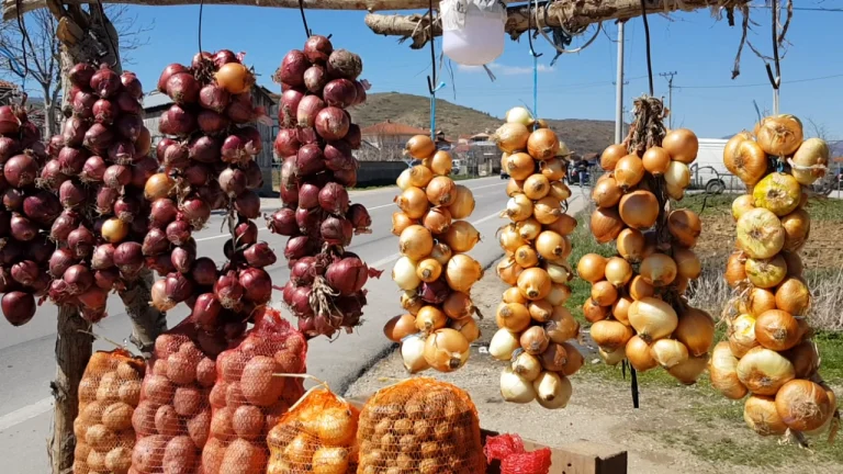 Qepë “e kripur”/ Prodhimi vendas zbut çmimin, qytetarët: 1 kg deri në 200 lekë. I papërballueshëm, po blejmë sa më pak