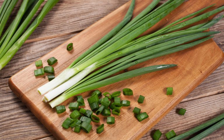 Qepët e Njoma – Të Pazëvendësueshme në Pranverë