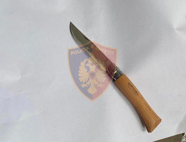 Plagosje me thikë , arrestohet autori