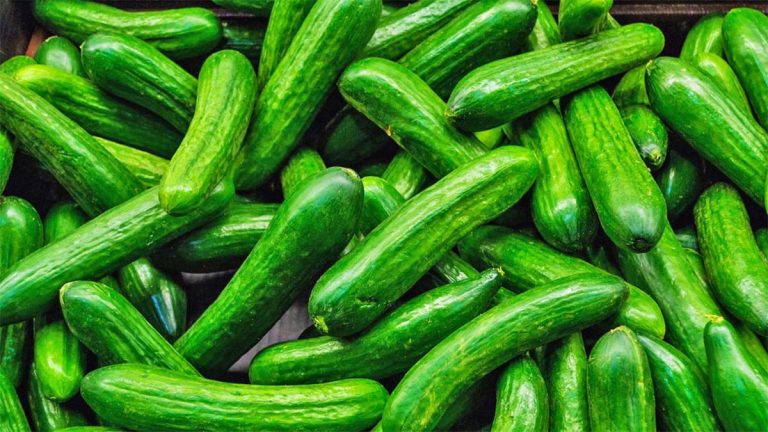 Trangujt e Hidhur – Pse Ndodh dhe a Duhen Konsumuar