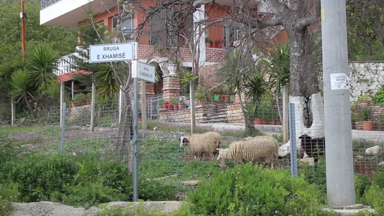 Fshati ku banorët jetojnë me bujqësi dhe blektori