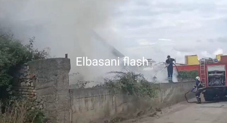Zjarr në një magazinë në Elbasan (Video)