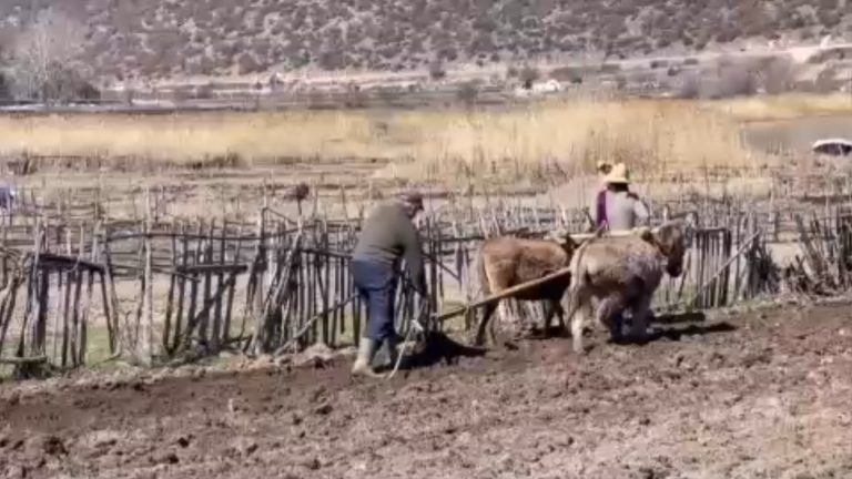 Punë e papaguar, gratë shqiptare kalojnë gati 6 orë çdo ditë duke u kujdesur për familjen