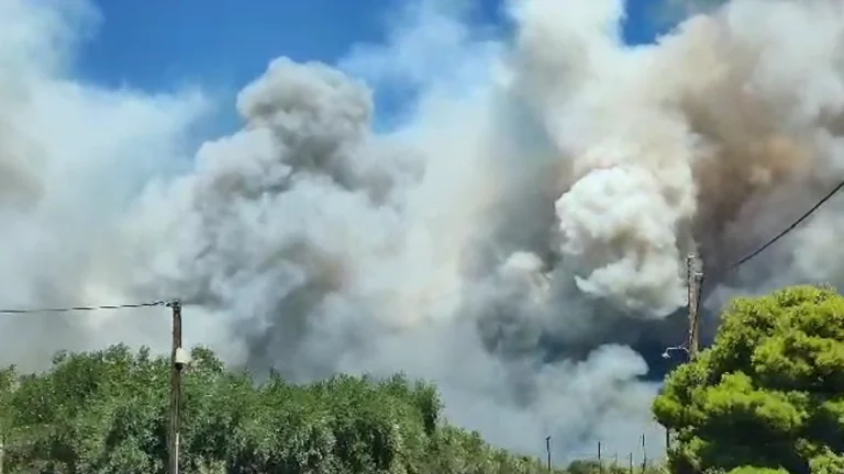 Periferia e Athinës përfshihet nga zjarre masive, autoritetet në operacion shpëtimi