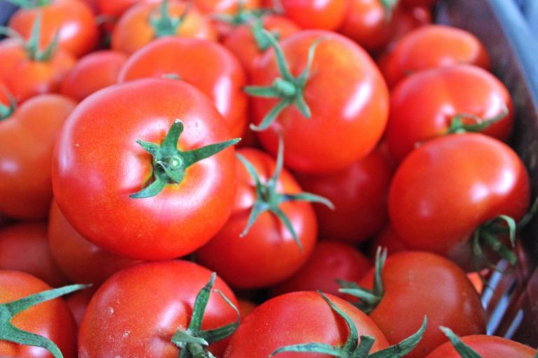 Shtatë arsye për t’i shtuar domatet në çdo vakt