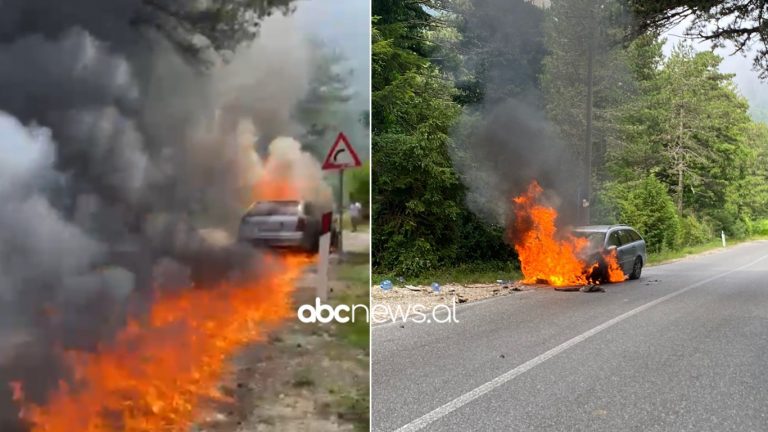 Përfshihet nga flakët “Benzi” në Llogara, shkak dyshohet shkëndija elektrike