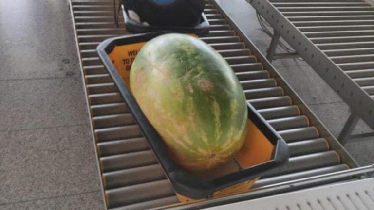 A mund të konsiderohet çantë dore një … shalqi?!