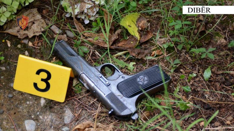 Sherr në Dibër/ I riu zihet me kushërinjtë e pronarit të lokalit që donte ta merrte me qira dhe qëllon në ajër me armë