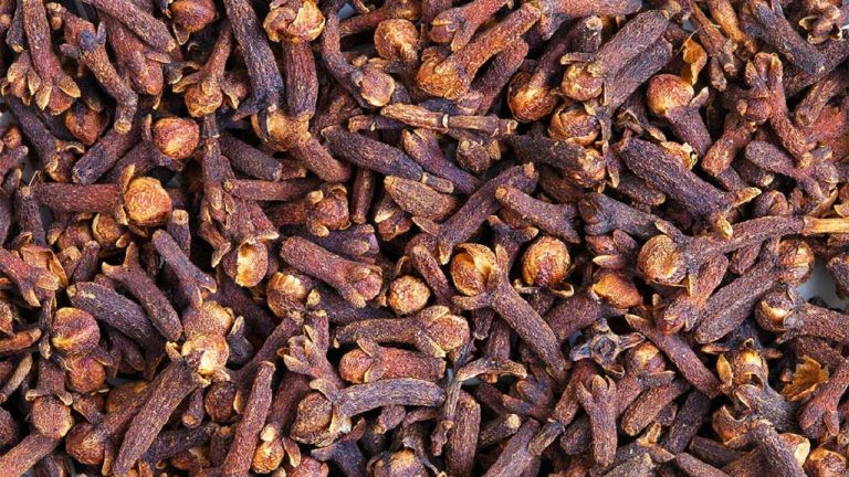 Vetitë çudibërëse të karafilit në mjekësinë natyrale; ka kaq shumë përfitime