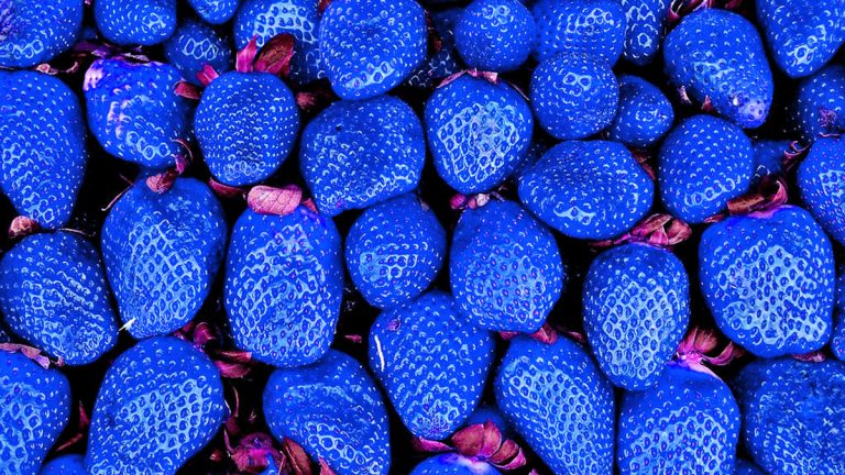 Ngjyruesit Ushqimorë me Kimikate – Lista e Dëmshme – Si të Kontrolloni Etiketat