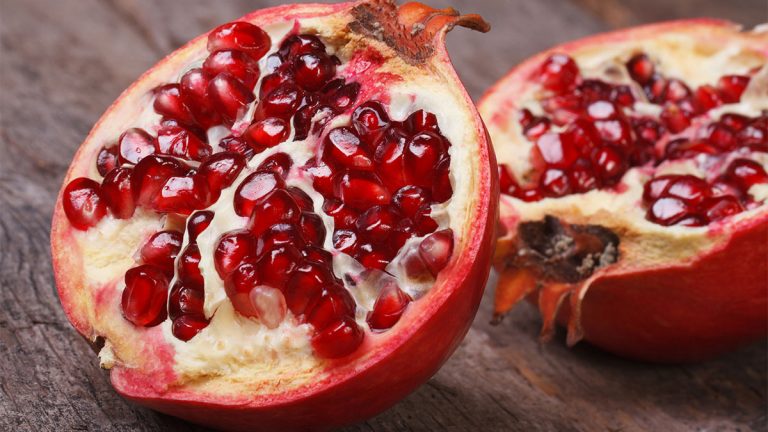 Stinë e Re, Shportë e re Produktesh – Më të Mirat e Shtatorit