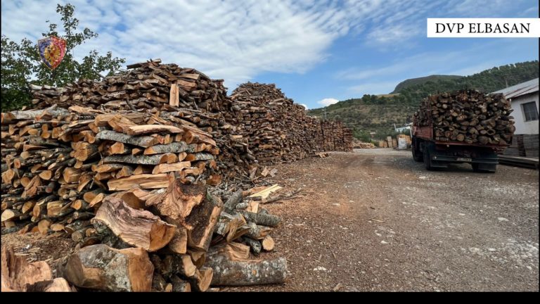 Elbasan/ Policia arreston 2 pronarë! Shisnin dru zjarri në mënyrë të paligjshme