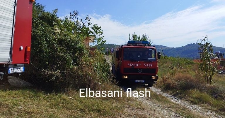 Zjarr në fshatin Shelcan të Elbasanit
