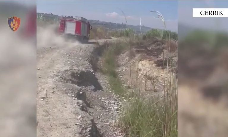 Hodhi cigaren e ndezur dhe dogji tokat e mbjella të 2 personave, në pranga 43-vjeçari në Cërrik