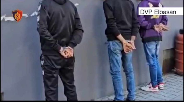 DVP Elbasan/Finalizohet operacioni policor antidrogë i koduar “Porosia”.