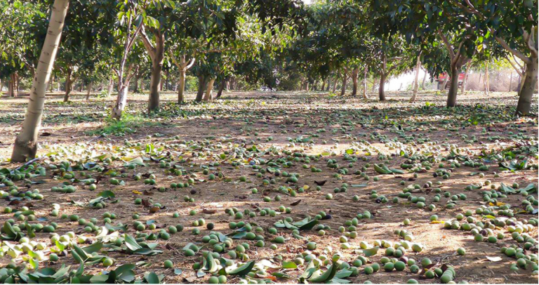 Ra nga arra, humb jetën 64-vjeçari