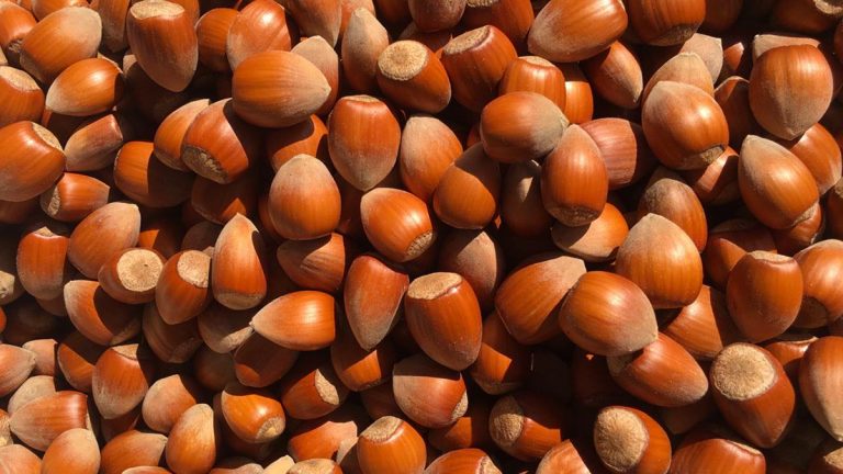 4 Arsye të Rëndësishme Përse Duhet t’i Konsumoni Rregullisht Lajthitë