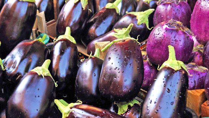 fresh aubergines