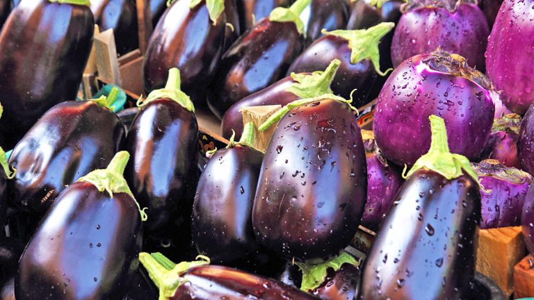 DIETA & KURA NATYRALEUji i Patëllxhanit – Zgjidhje Për Kolesterolin, Zemrën, Mëlçinë