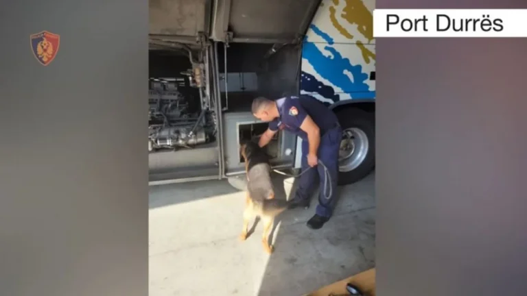 Tentuan të kalonin nga Porti i Durrësit para dhe fishekë, vihen në pranga drejtuesit e autobusëve (Emrat)