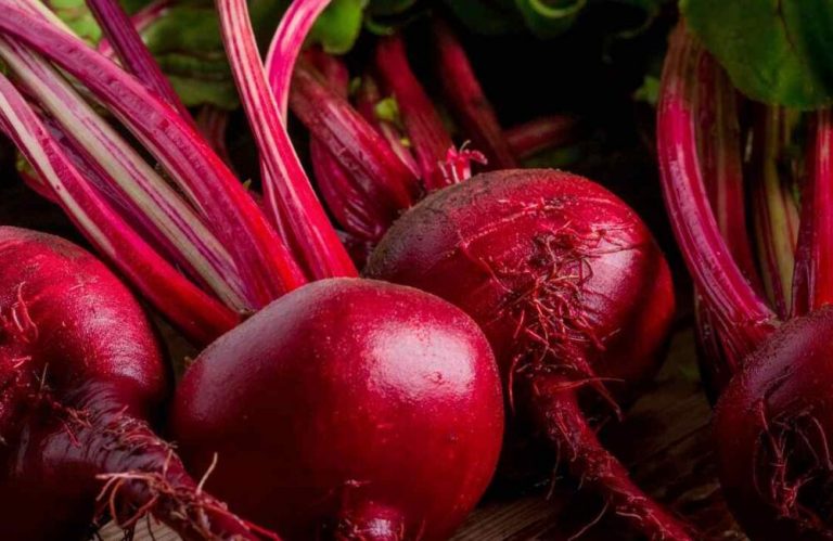 Ushqimet e Vjeshtës që Duhet të Hani për Gjallërinë e Lëkurës