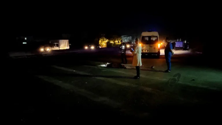 Aksident në Lushnjë, 28-vjeçarja përplas për vdekje këmbësorin