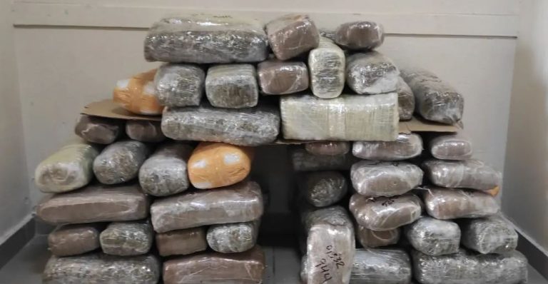 Kapen 75 kg marijuanë në Igumenicë, shoferi grek po i transpontonte me fuoristradë nga Shqipëria