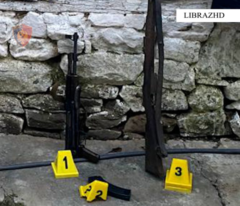 Librazhd/Vijon operacioni policor i koduar “Sundimi i ligjit”, për kapjen e shtetasve të shpallur në kërkim dhe të atyre që posedojnë armë zjarri, pa leje.