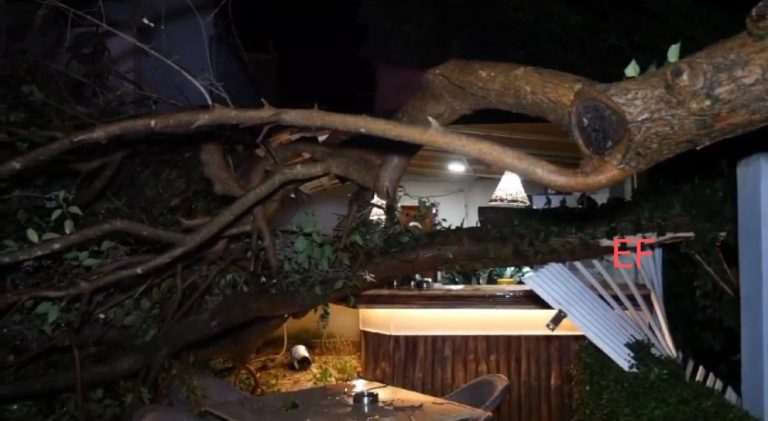 Erë e fortë në Librazhd, rrëzohen pemë. Dëme në disa biznese