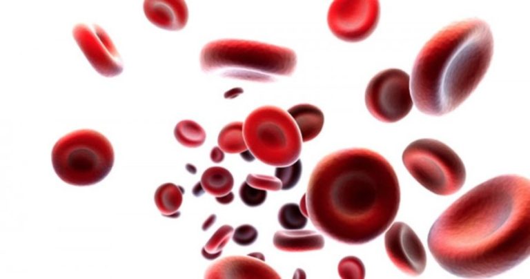 ‘Gjaku i Artë’/ Grupi më i rrallë, vetëm 43 persona e kanë në të gjithë botën