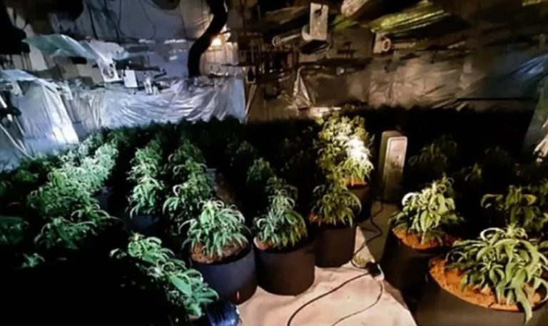 Shqiptarët i bëjnë të gjitha, kthejnë azilin e pleqve në shtëpi bari