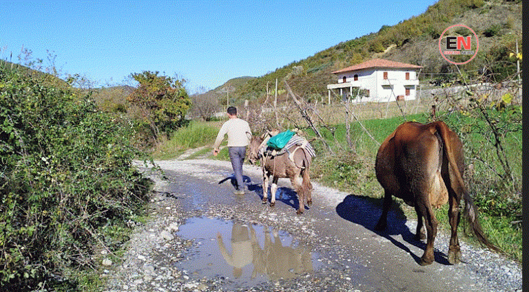 BASHKIA ELBASAN E HARRON, FSHATI NUK BËN DASMA SE NUK KA RRUGË (VIDEO)