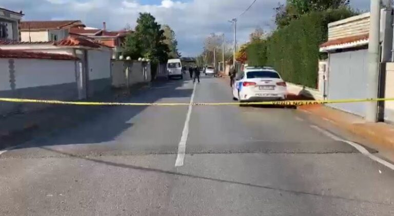 Vrasja në Fier, policia jep detaje