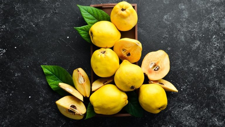 Gjithçka rreth ftoit, fruti i stinës dhe vetitë e mrekullueshme kuruese