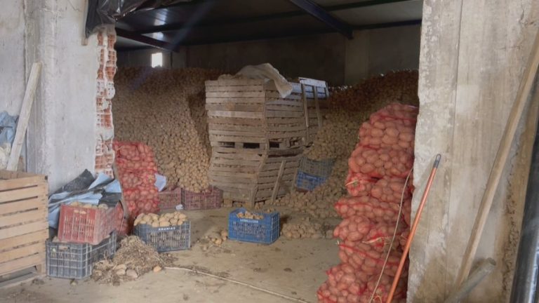 Stok me qepë e patate, importi lë pa shitur prodhimet bujqësore