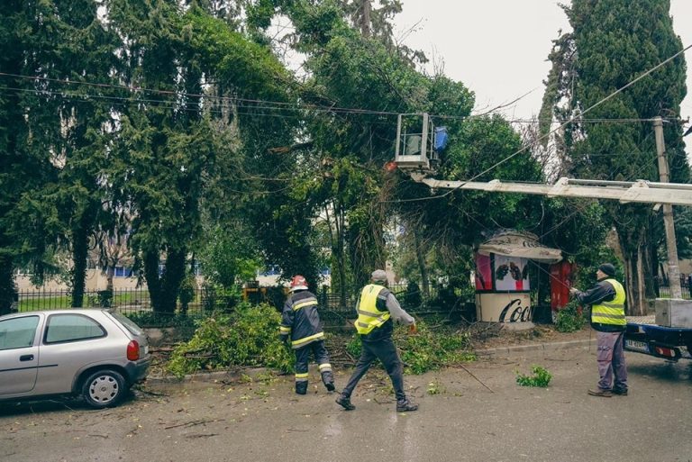 Elbasan/ Era e fortë rrëzon pemët