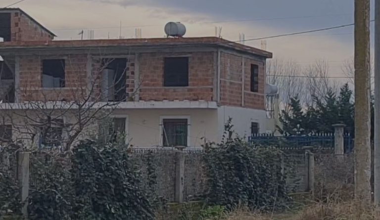 Vetëvrasja pas bullizimit/ Zbardhet dëshmia e vëllezërve të 41-vjeçares