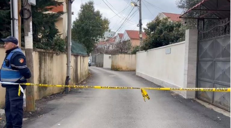 Të shtëna me armë tek “Fresku”, vëllai vret vëllanë dhe më pas kryen vetëvrasje