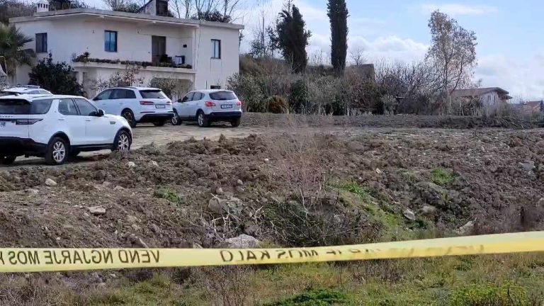 “E lidhi me litar dhe…”/ Vrau babain dhe e groposi në oborr, zbardhet dëshmia e vajzës: E qëllova me armë në kasolle