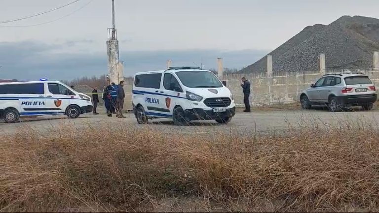 Pamjet nga vendngjarja/ Ekzekutohet me armë ekonomisti i një firme inertesh në Kurbin, plagoset pronari
