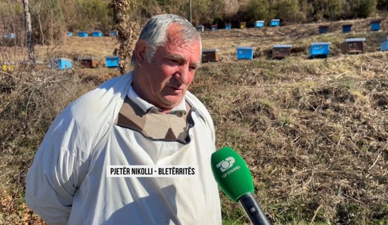 Sekretet e bletëve/ Pasioni i bletarit nga Ungrej, me shitjen e mjaltit rriti 8 fëmijë