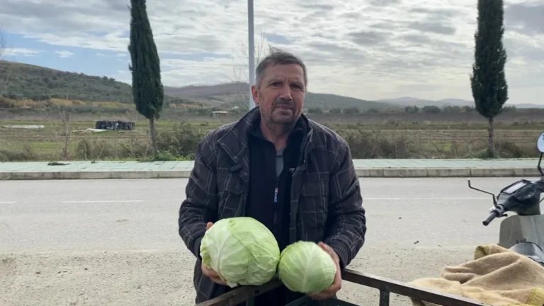 Bujqësia në vështirësi/ Punë nga mëngjesi në darkë, i moshuari në Divjakë përballet me probleme: 70 mije lekë pensioni nuk më del