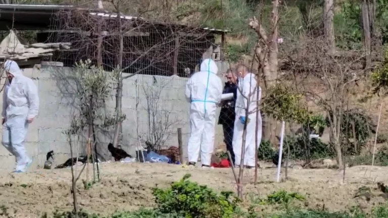 E PLOTË/ Dinamika e vrasjes në Durrës! U arrestua vajza, por krimin e kreu vëllai! Djali i madh i familjes shkrepi armën ndaj babait, dy të tjerët e ndihmuan të zhduknin trupin